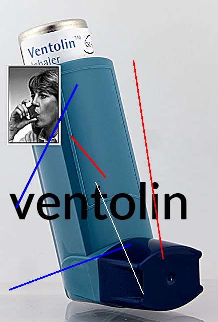 Ventolin 100 prix